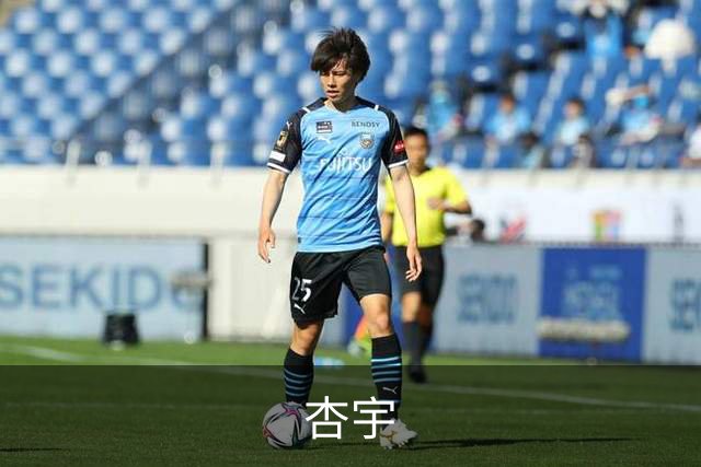 关于杏宇